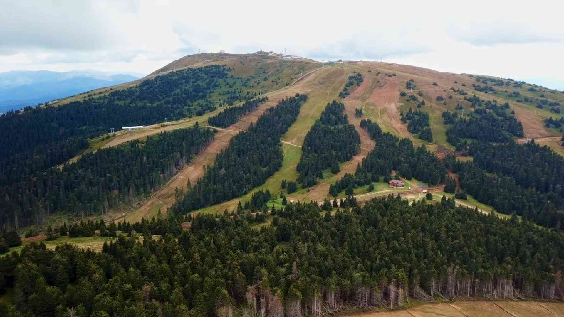 Kopaonik leti – Šta obići i top 5 aktivnosti za opuštanje